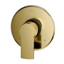 Acabamento-Monocomando-para-Chuveiro-e-Ducha-Higienica-Base-Deca-Argon-Ouro-Polido---01003343---Docol